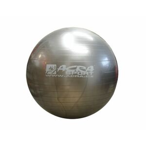 Acra Sport 39983  Gymnastický míč 650mm